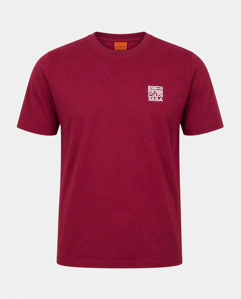Camiseta Espírito Capixaba