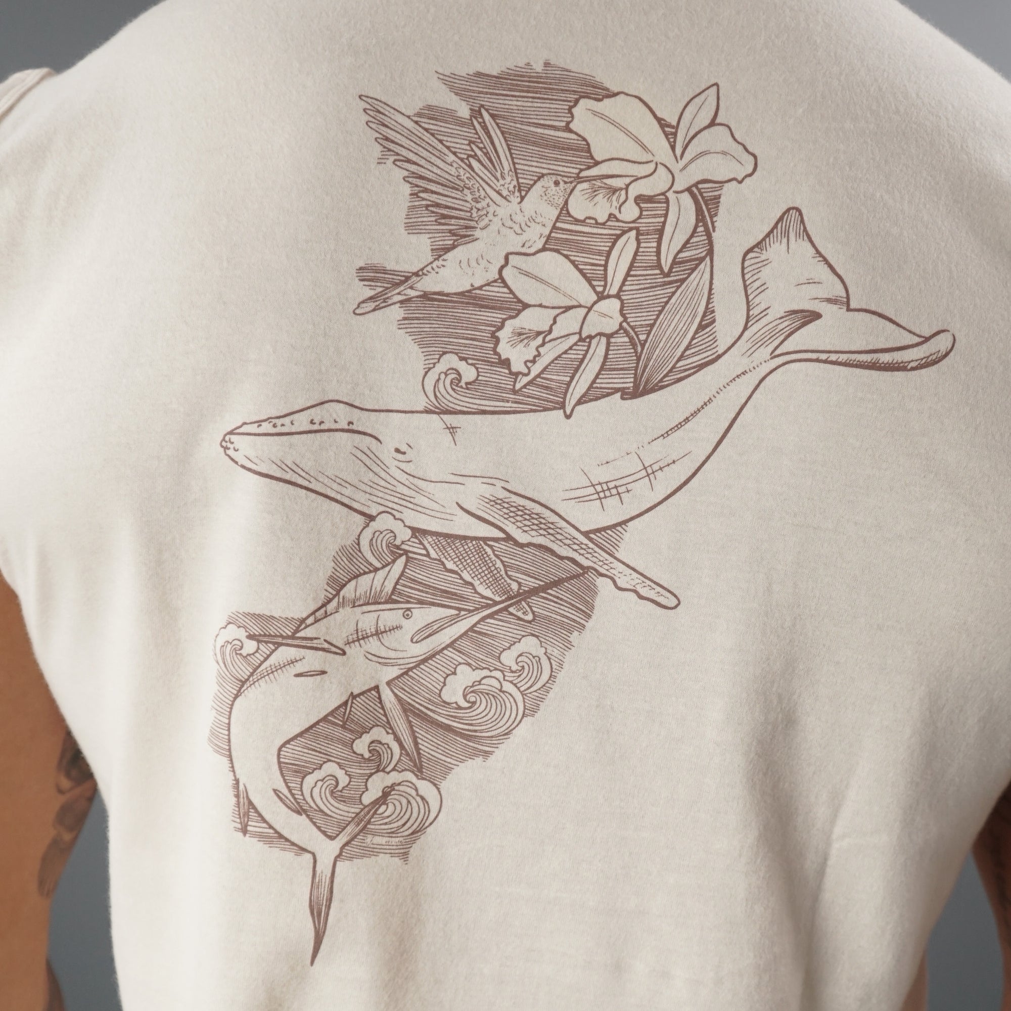 Regata Machão Espírito Capixaba - Beija-Flor, Baleia e Marlin