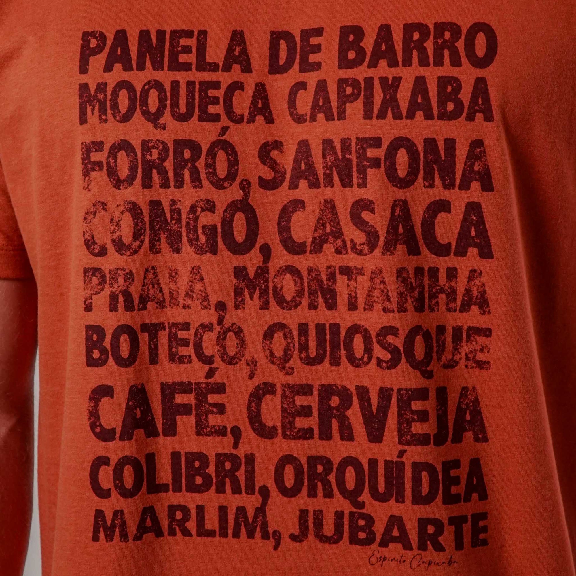 Camiseta Espírito Capixaba