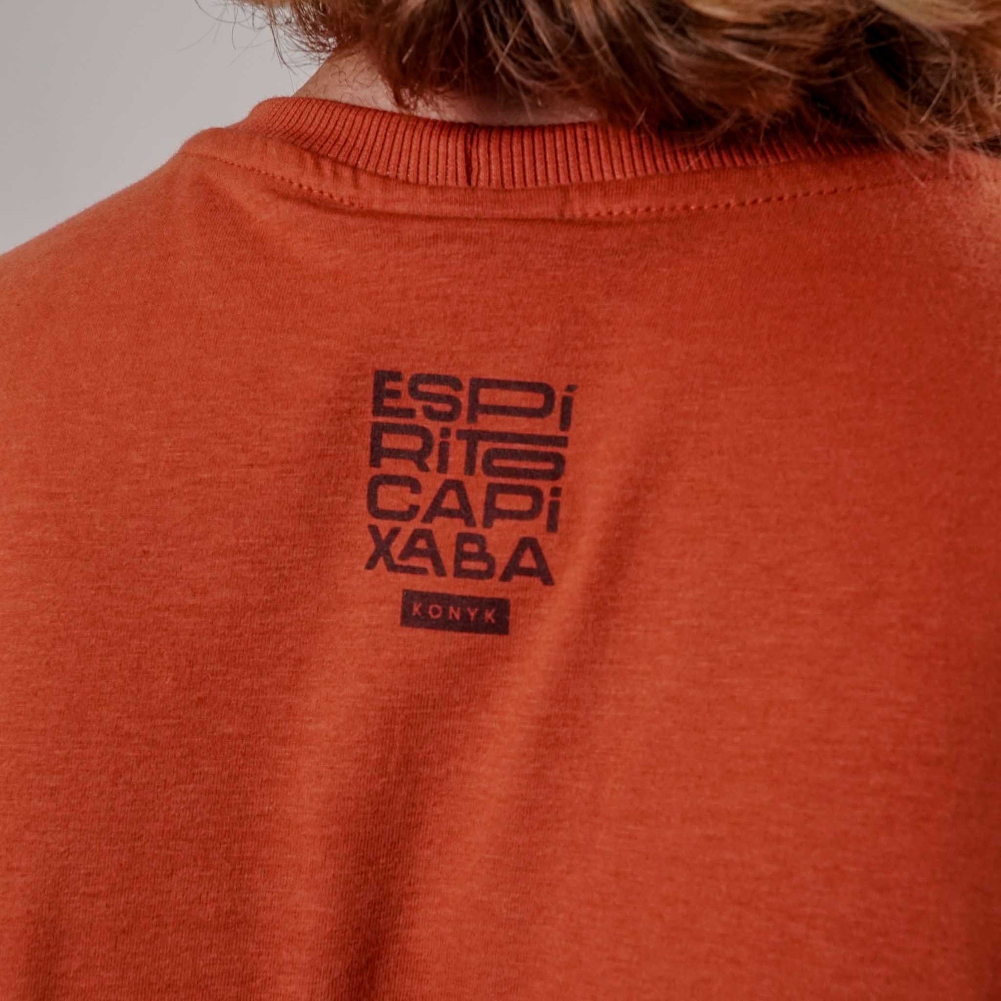 Camiseta Espírito Capixaba
