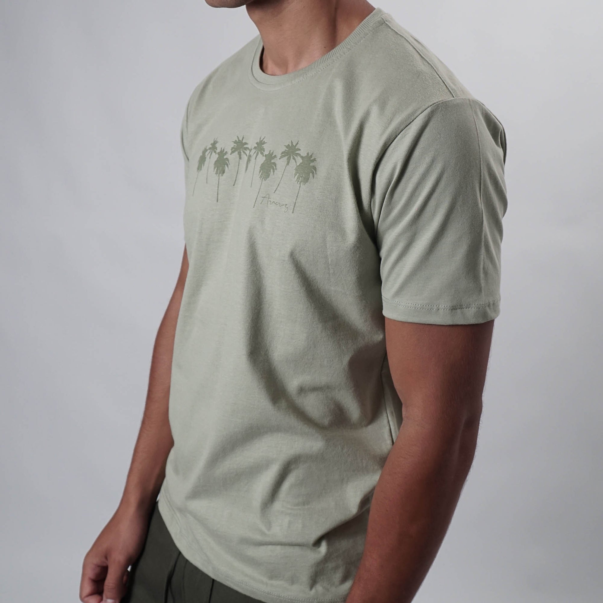 Camiseta Espírito Capixaba - Aracruz