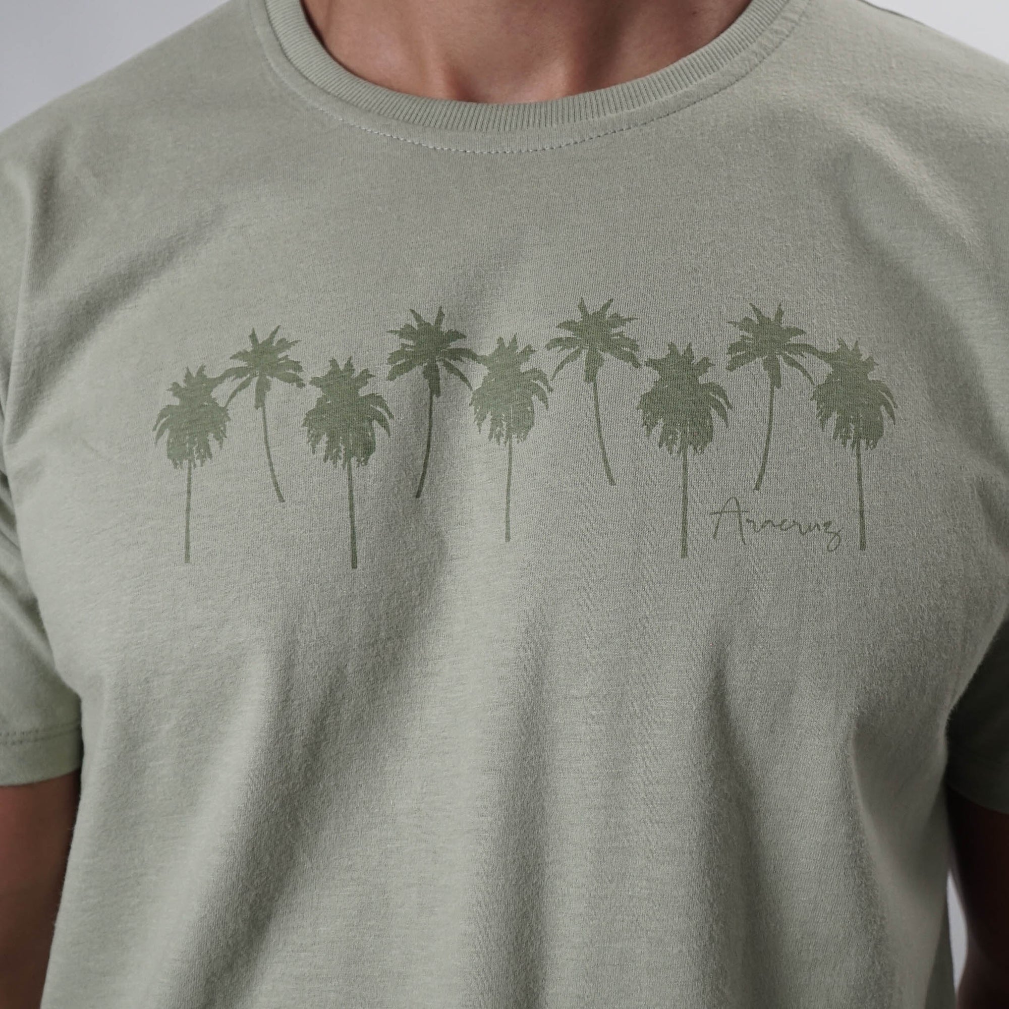 Camiseta Espírito Capixaba - Aracruz